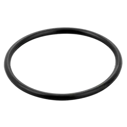 O-RING FORD 83416992